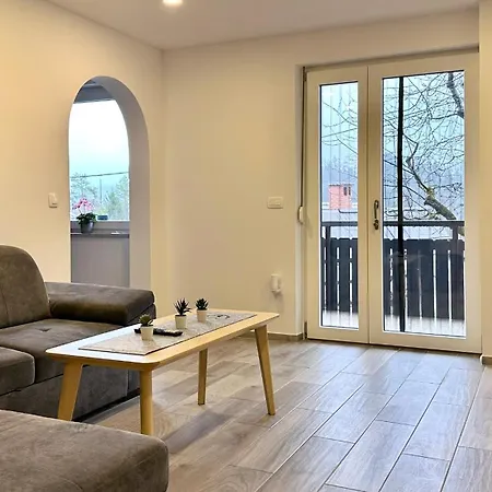 Franc Apartment *