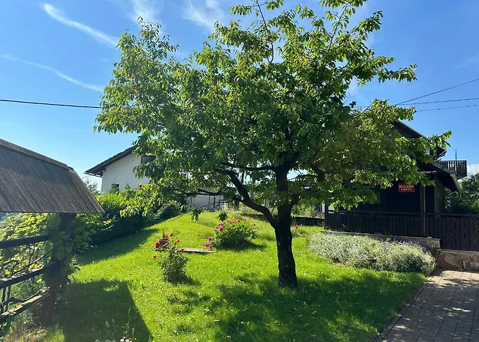 شقة Franc بليد