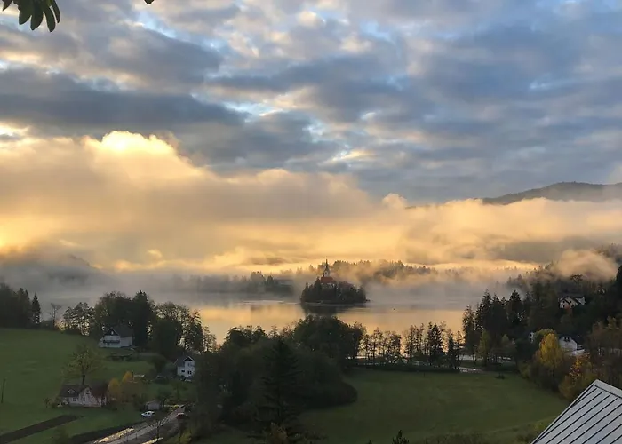 شقة Franc بليد